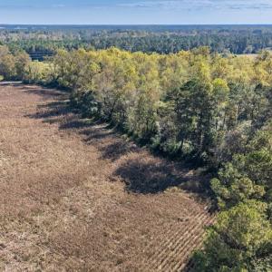 Photo #12 of SOLD property in 205-208 Cedar Fork Rd, Beulaville , NC 65.0 acres