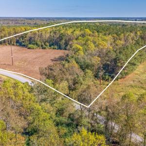 Photo #14 of SOLD property in 205-208 Cedar Fork Rd, Beulaville , NC 65.0 acres