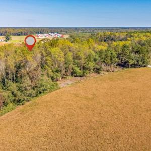Photo #15 of SOLD property in 205-208 Cedar Fork Rd, Beulaville , NC 65.0 acres