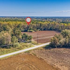 Photo #17 of SOLD property in 205-208 Cedar Fork Rd, Beulaville , NC 65.0 acres