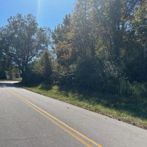 Photo #19 of SOLD property in 205-208 Cedar Fork Rd, Beulaville , NC 65.0 acres