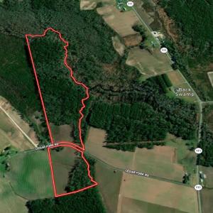 Photo #2 of SOLD property in 205-208 Cedar Fork Rd, Beulaville , NC 65.0 acres
