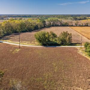 Photo #3 of SOLD property in 205-208 Cedar Fork Rd, Beulaville , NC 65.0 acres