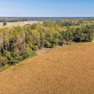 Photo #5 of SOLD property in 205-208 Cedar Fork Rd, Beulaville , NC 65.0 acres