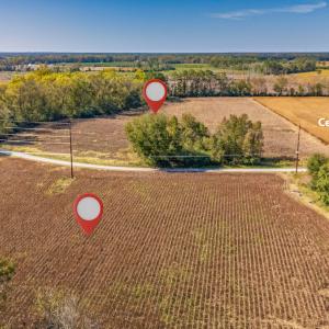 Photo #6 of SOLD property in 205-208 Cedar Fork Rd, Beulaville , NC 65.0 acres