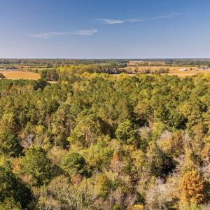 Photo #7 of SOLD property in 205-208 Cedar Fork Rd, Beulaville , NC 65.0 acres