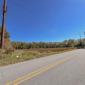 Photo #8 of SOLD property in 205-208 Cedar Fork Rd, Beulaville , NC 65.0 acres