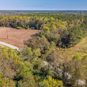 Photo #10 of SOLD property in 205-208 Cedar Fork Rd, Beulaville , NC 65.0 acres