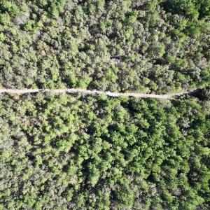 Photo #13 of Off Bay Bush Road, Vanceboro, NC 62.0 acres