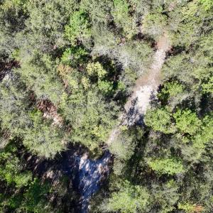 Photo #14 of Off Bay Bush Road, Vanceboro, NC 62.0 acres