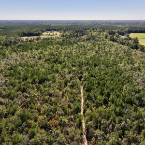 Photo #15 of Off Bay Bush Road, Vanceboro, NC 62.0 acres