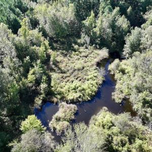 Photo #16 of Off Bay Bush Road, Vanceboro, NC 62.0 acres