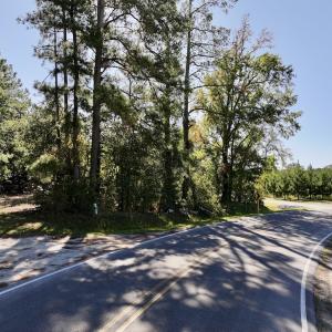 Photo #17 of Off Bay Bush Road, Vanceboro, NC 62.0 acres