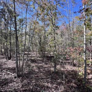 Photo #19 of Off Bay Bush Road, Vanceboro, NC 62.0 acres