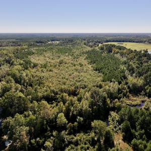 Photo #2 of Off Bay Bush Road, Vanceboro, NC 62.0 acres