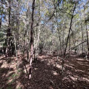 Photo #20 of Off Bay Bush Road, Vanceboro, NC 62.0 acres