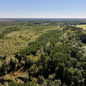 Photo #3 of Off Bay Bush Road, Vanceboro, NC 62.0 acres
