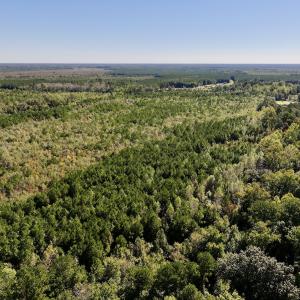 Photo #4 of Off Bay Bush Road, Vanceboro, NC 62.0 acres