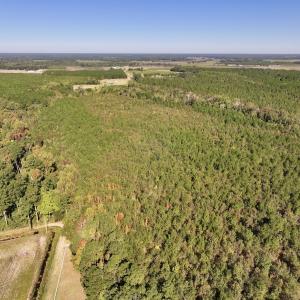 Photo #5 of Off Bay Bush Road, Vanceboro, NC 62.0 acres