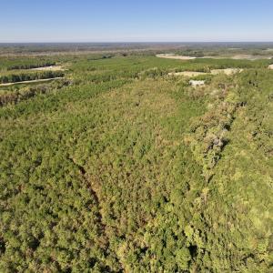 Photo #6 of Off Bay Bush Road, Vanceboro, NC 62.0 acres