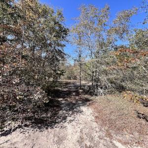 Photo #23 of Off Bay Bush Road, Vanceboro, NC 62.0 acres