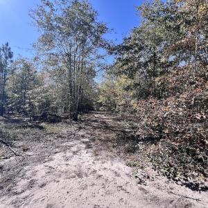 Photo #25 of Off Bay Bush Road, Vanceboro, NC 62.0 acres