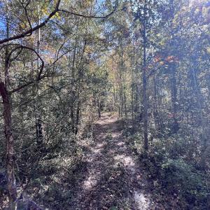 Photo #26 of Off Bay Bush Road, Vanceboro, NC 62.0 acres