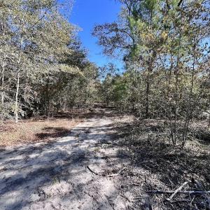 Photo #27 of Off Bay Bush Road, Vanceboro, NC 62.0 acres
