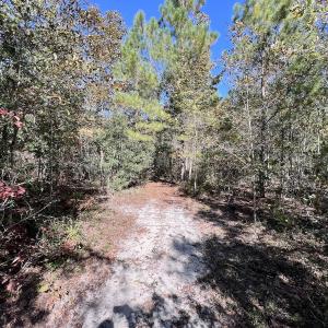 Photo #28 of Off Bay Bush Road, Vanceboro, NC 62.0 acres