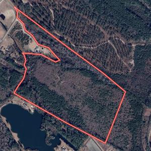 Photo #31 of Off Bay Bush Road, Vanceboro, NC 62.0 acres