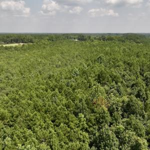 Photo #14 of SOLD property in Off River Road, Vanceboro, NC 66.0 acres