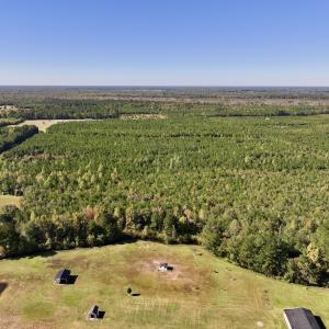 Photo #2 of SOLD property in Off River Road, Vanceboro, NC 66.0 acres