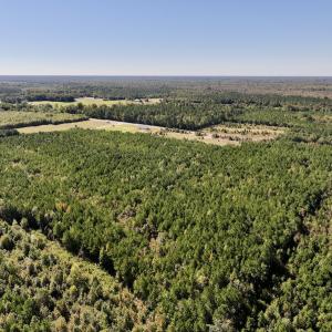 Photo #5 of SOLD property in Off River Road, Vanceboro, NC 66.0 acres