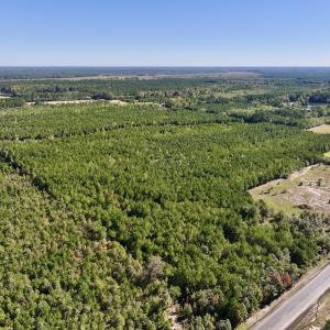Photo #6 of SOLD property in Off River Road, Vanceboro, NC 66.0 acres