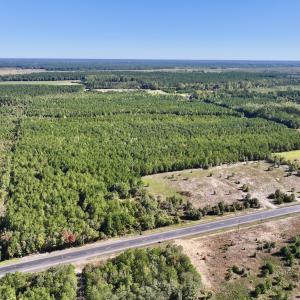 Photo #7 of SOLD property in Off River Road, Vanceboro, NC 66.0 acres