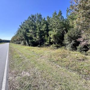 Photo #23 of SOLD property in Off River Road, Vanceboro, NC 66.0 acres