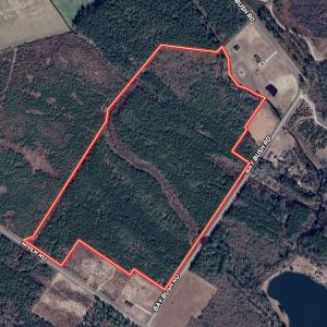 Photo #36 of SOLD property in Off River Road, Vanceboro, NC 66.0 acres