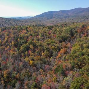 Photo #2 of Off  Bull Mountain Road, Patrick , VA 88.0 acres
