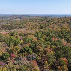 Photo #10 of Off  Bull Mountain Road, Patrick , VA 88.0 acres