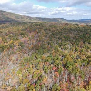 Photo #11 of Off  Bull Mountain Road, Patrick , VA 88.0 acres