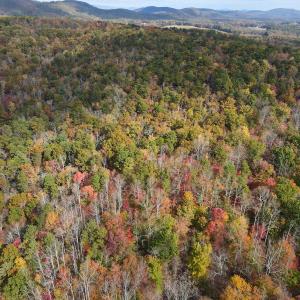 Photo #12 of Off  Bull Mountain Road, Patrick , VA 88.0 acres