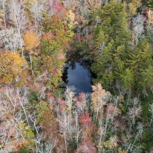 Photo #13 of Off  Bull Mountain Road, Patrick , VA 88.0 acres