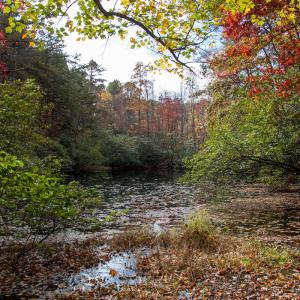 Photo #14 of Off  Bull Mountain Road, Patrick , VA 88.0 acres