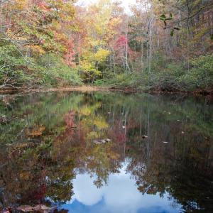 Photo #15 of Off  Bull Mountain Road, Patrick , VA 88.0 acres