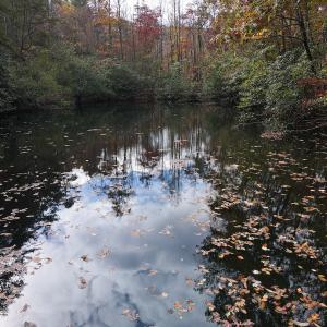 Photo #16 of Off  Bull Mountain Road, Patrick , VA 88.0 acres