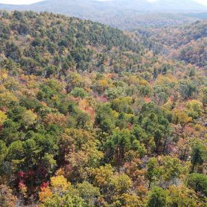 Photo #18 of Off  Bull Mountain Road, Patrick , VA 88.0 acres