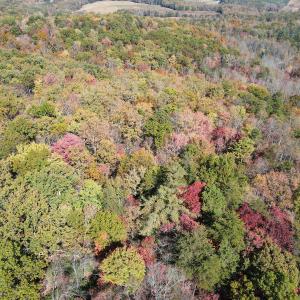 Photo #19 of Off  Bull Mountain Road, Patrick , VA 88.0 acres