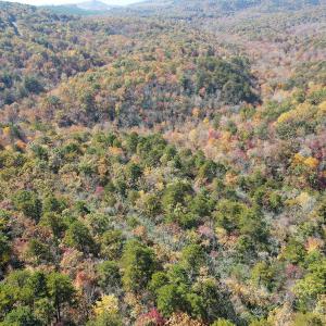 Photo #20 of Off  Bull Mountain Road, Patrick , VA 88.0 acres