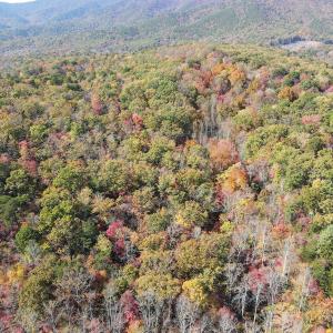 Photo #24 of Off  Bull Mountain Road, Patrick , VA 88.0 acres