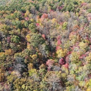 Photo #25 of Off  Bull Mountain Road, Patrick , VA 88.0 acres